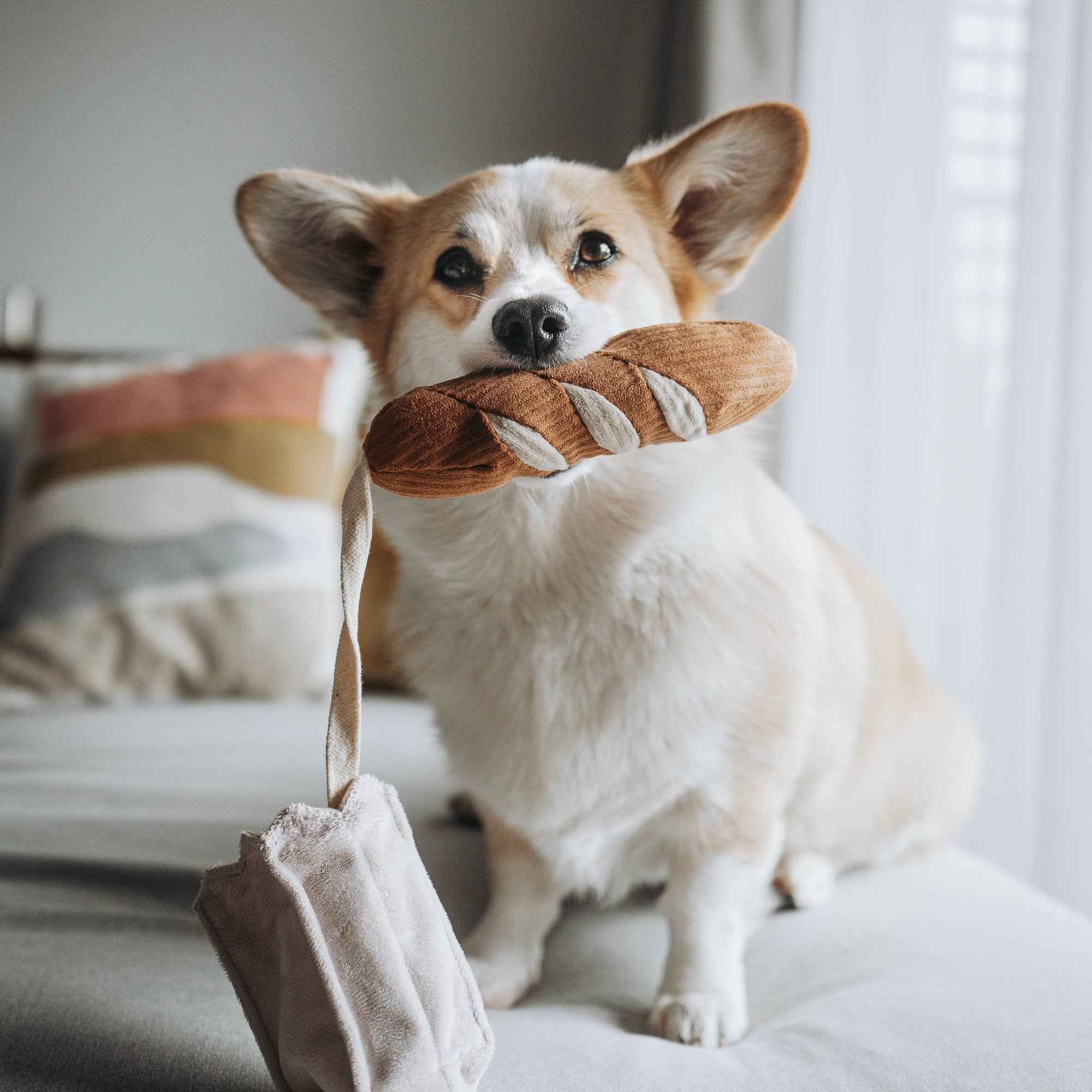 Interactive plush dog toy designed for puppies and small dogs