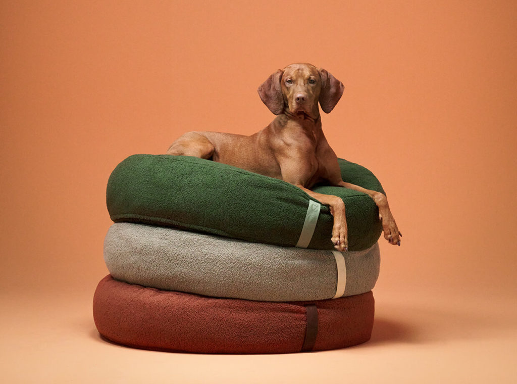 How to Choose the Perfect Dog Bed: A Complete Buyer's Guide