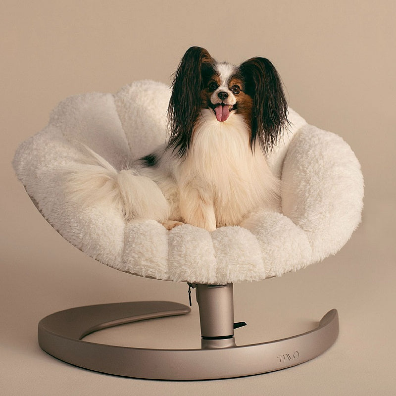 TAVO Luxury Dog Beds