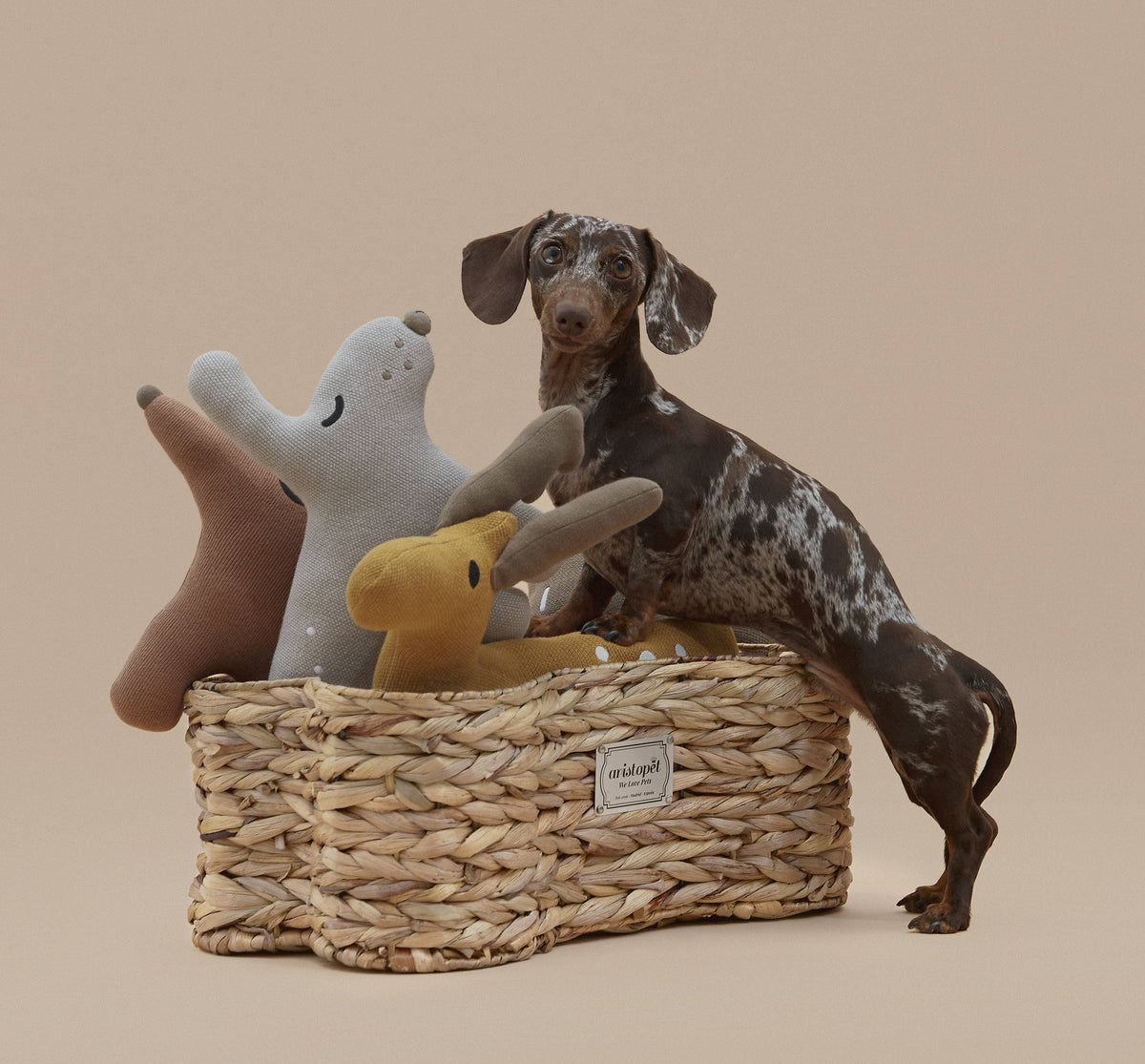 Aristopet dog toy basket designed for stylish pet storage at home.