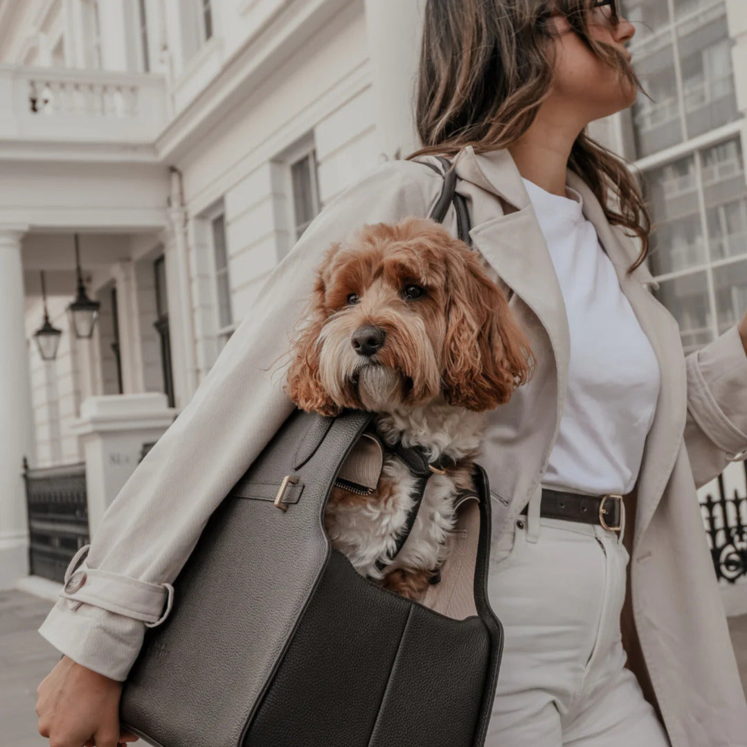 Brand - By Teddy