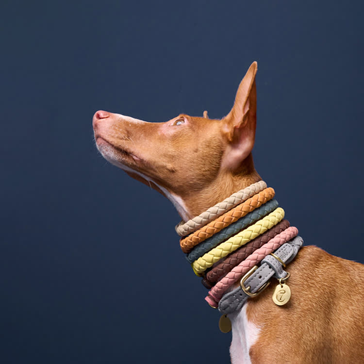 Cloud7 Collars