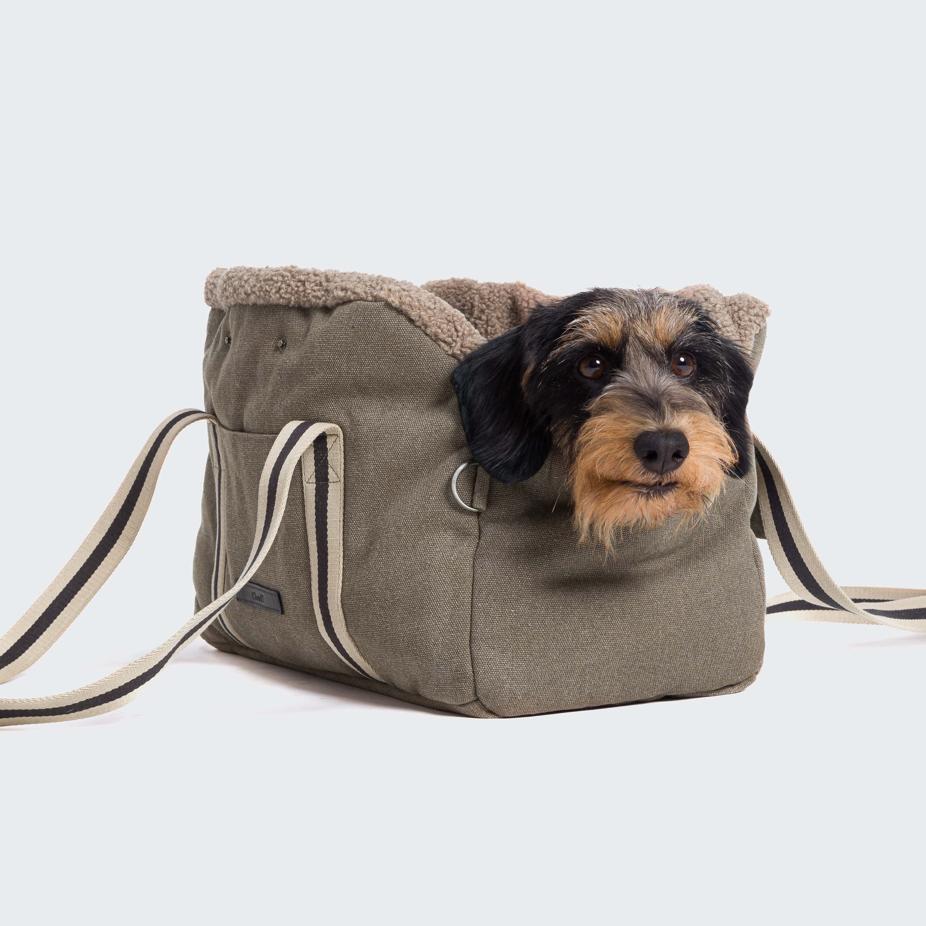 Dog Carrier