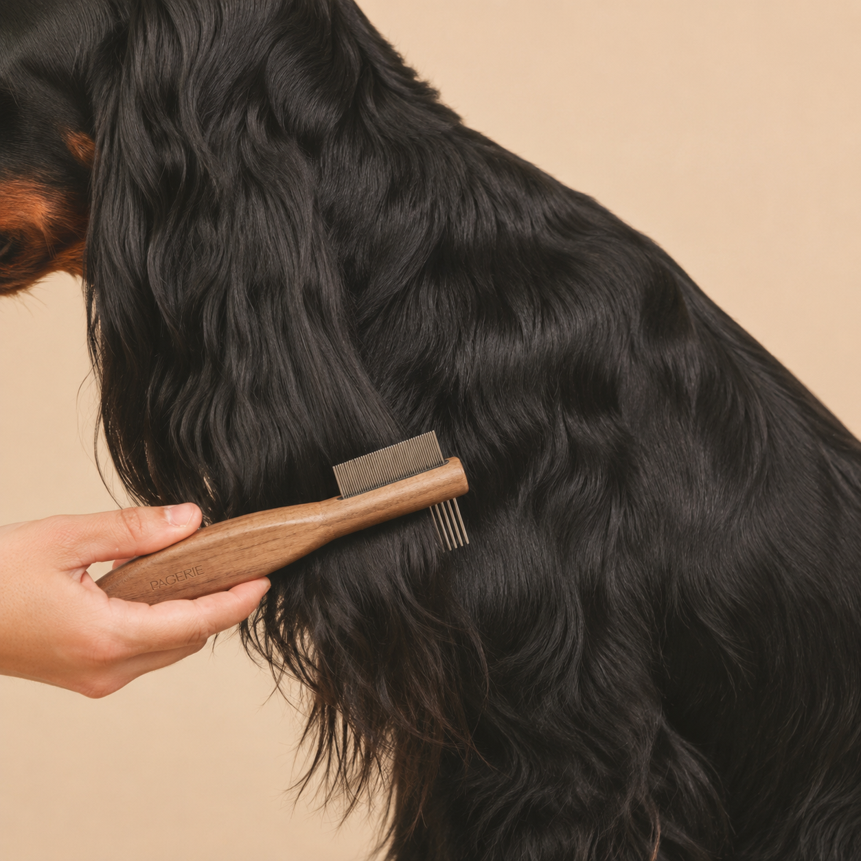 Brushes & Tools