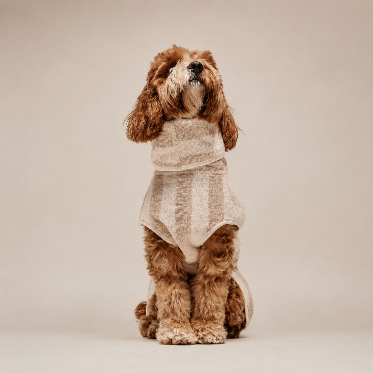Shampoo & Bathing