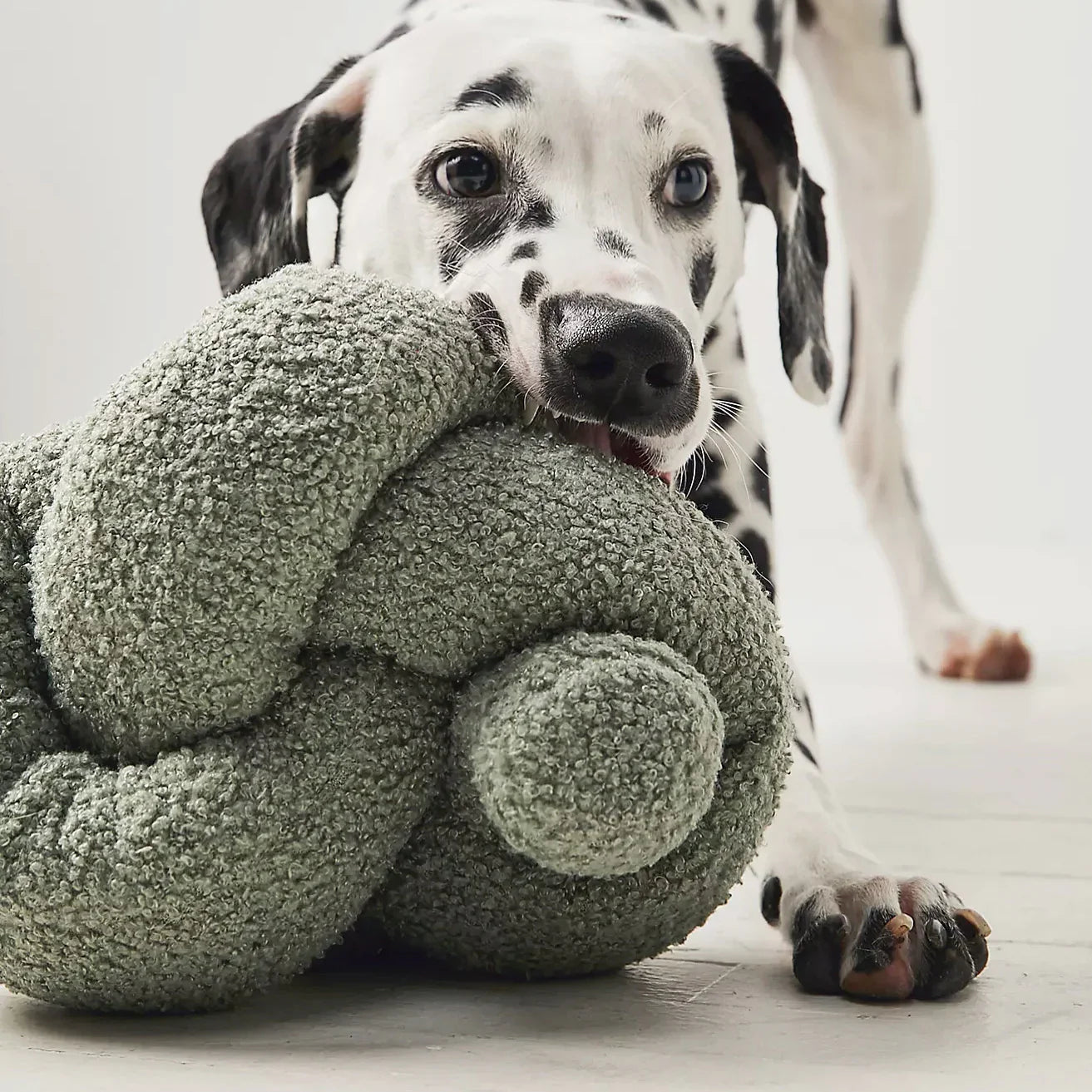 Enrichment Toys