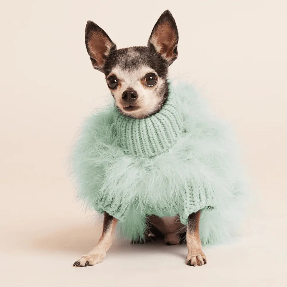 Dog Jumpers & Sweaters