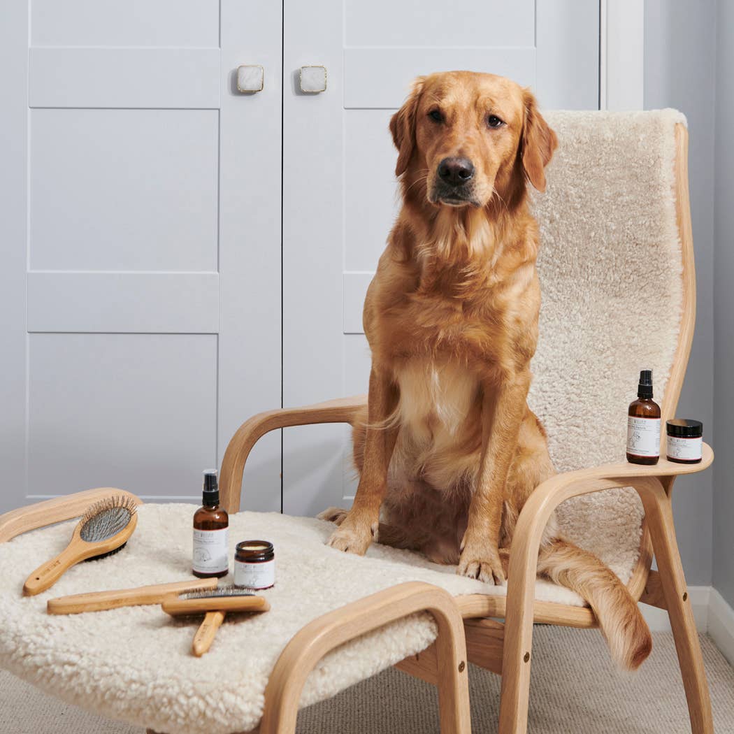 Bamboo & Metal Dog Comb