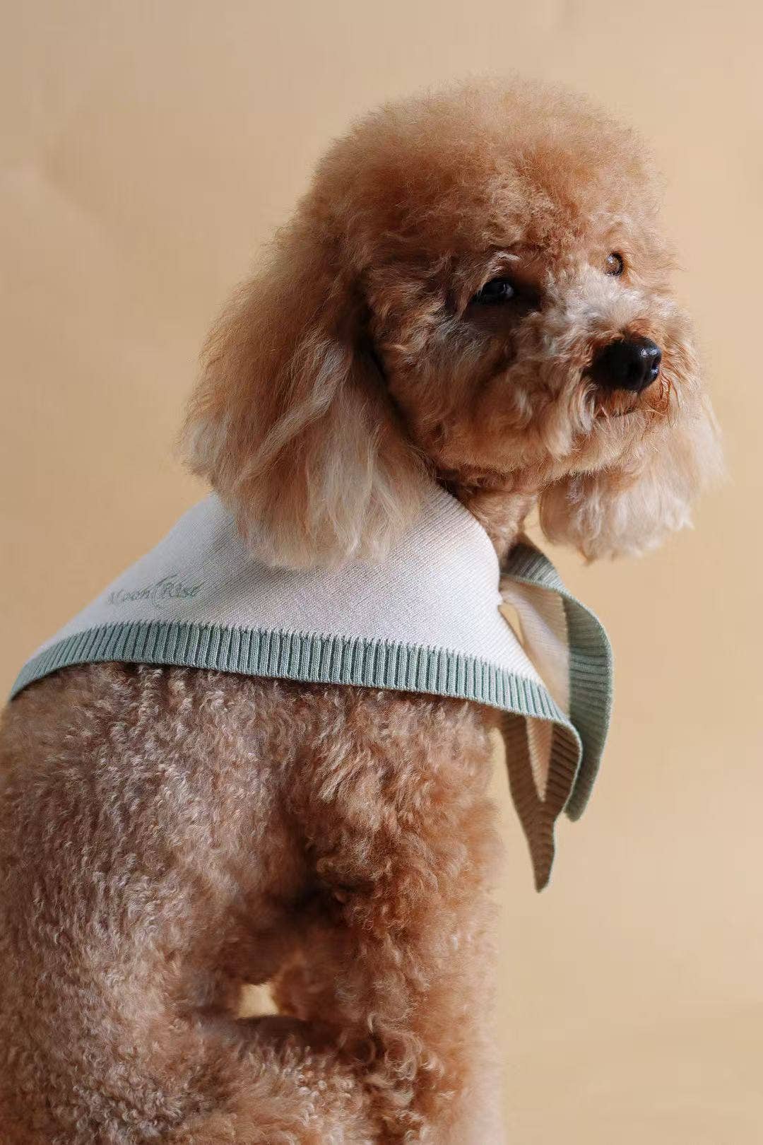 Chalky Mint Pet Bandana