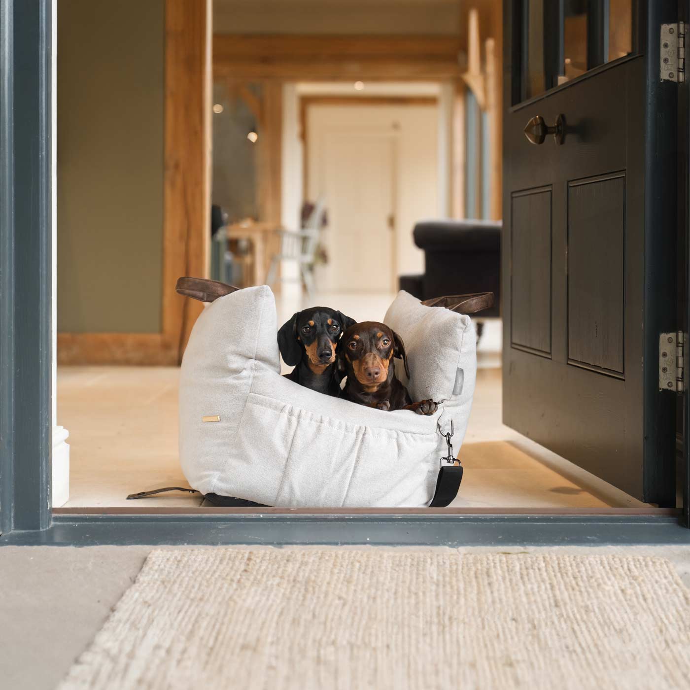 Dog travel bed with removable cushion