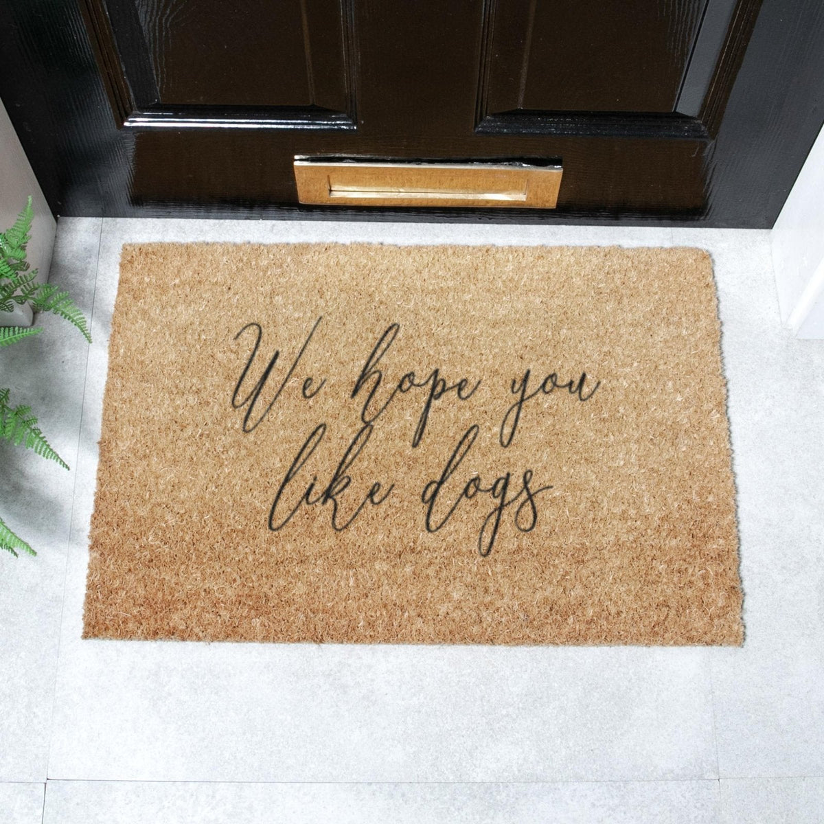 We Hope You Like Dogs Doormat