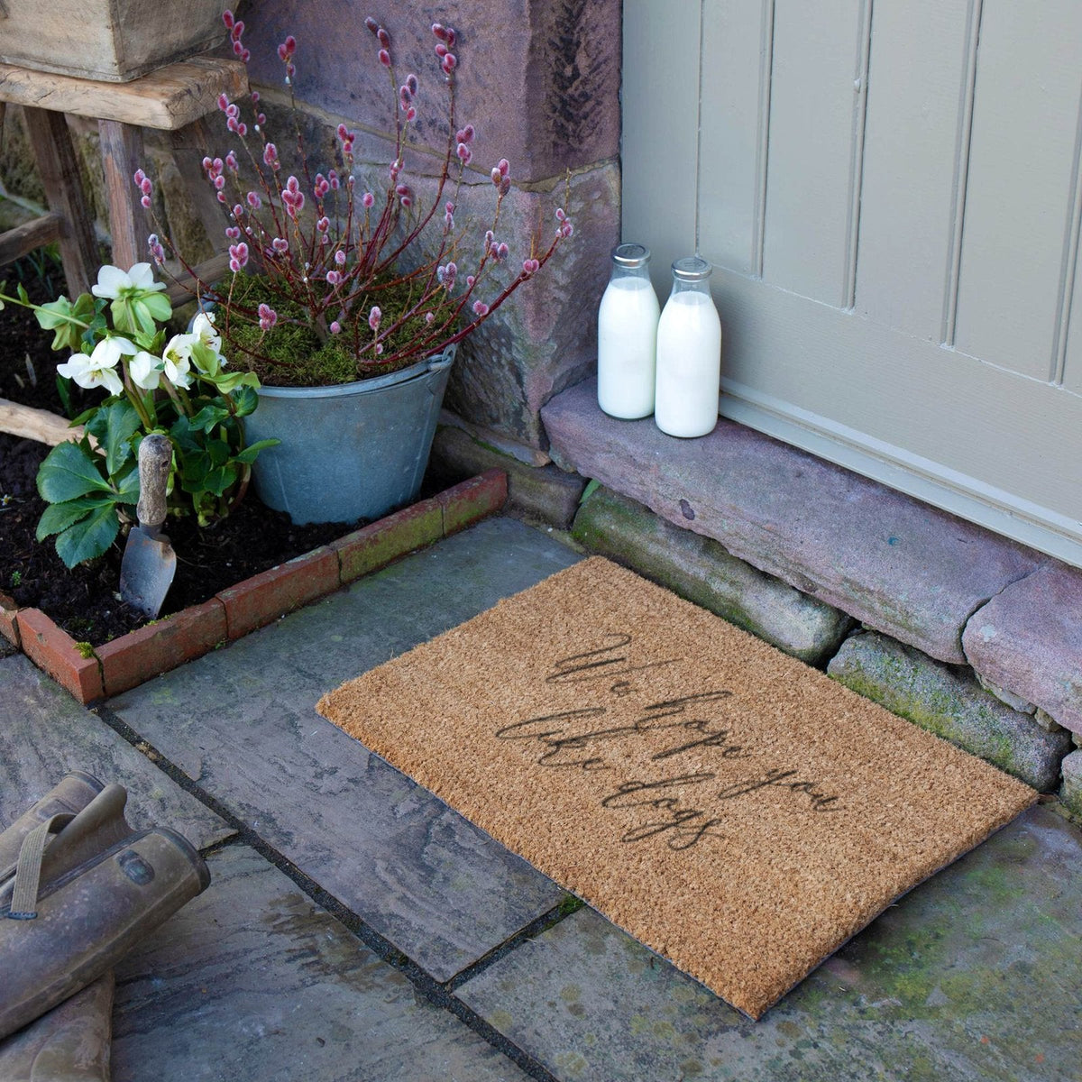 We Hope You Like Dogs Doormat