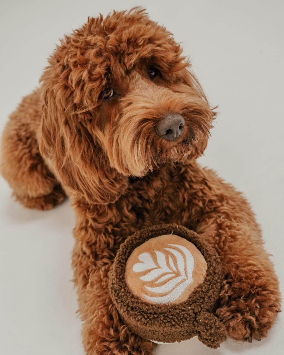 By Teddy Flat White Cup Dog Toy