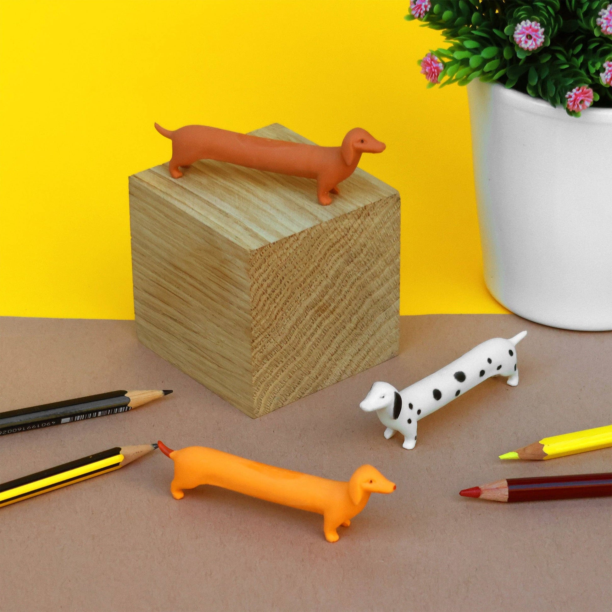 Animal shaped rubber erasers for school office and home use bell & beau 