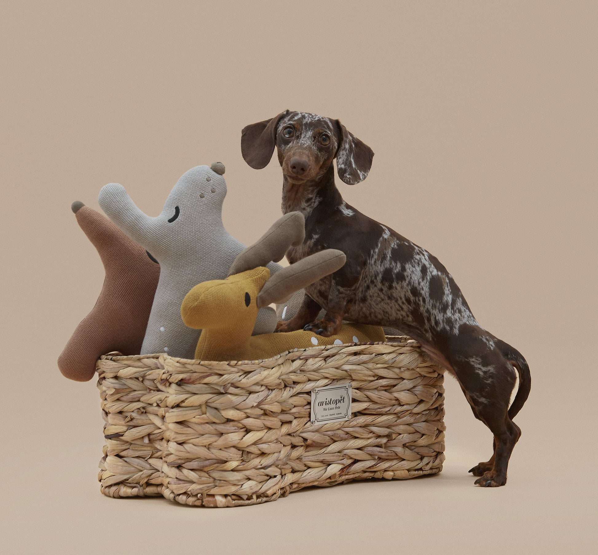 Aristopet dog toy basket designed for stylish pet storage at home.