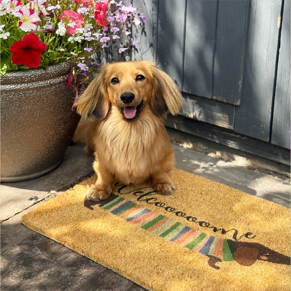 Welcome Sausage Dog Doormat