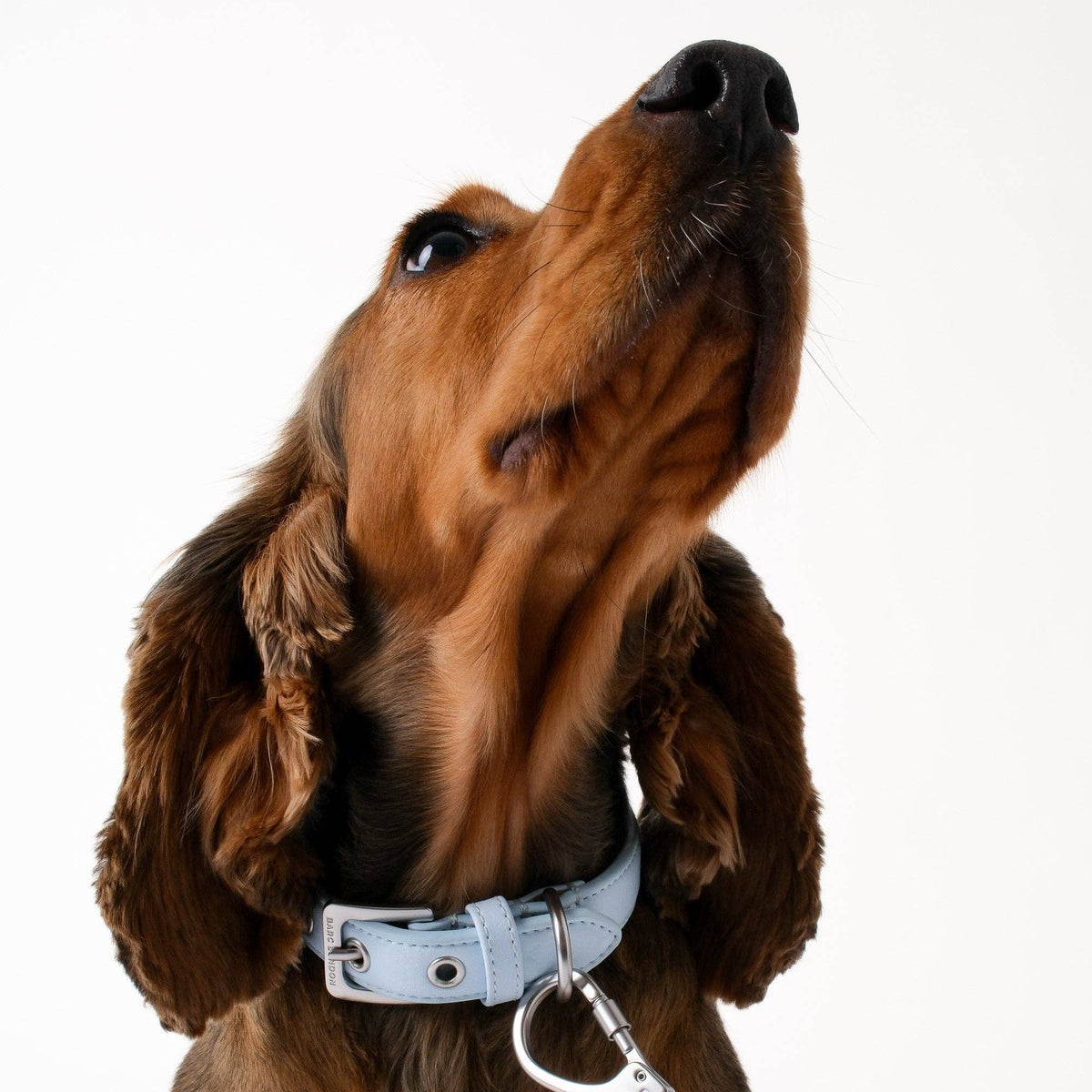 Barc London Dusk Blue City Collar with matching silver-tone hardware.