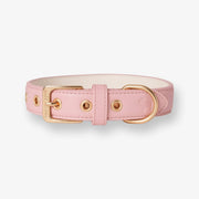 Barc London Blush Pink vegan leather dog collar with elegant gold-tone hardware.