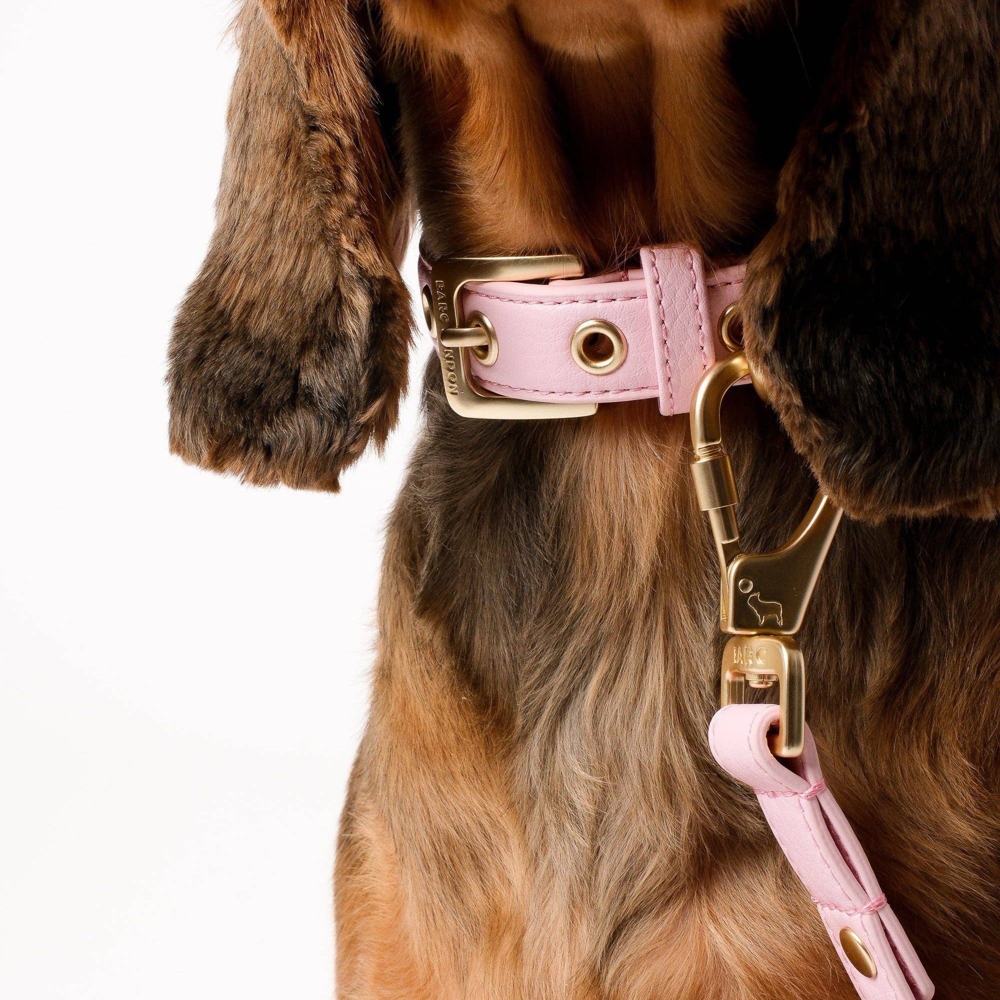 Barc London Blush Pink vegan leather dog collar with elegant gold-tone hardware.