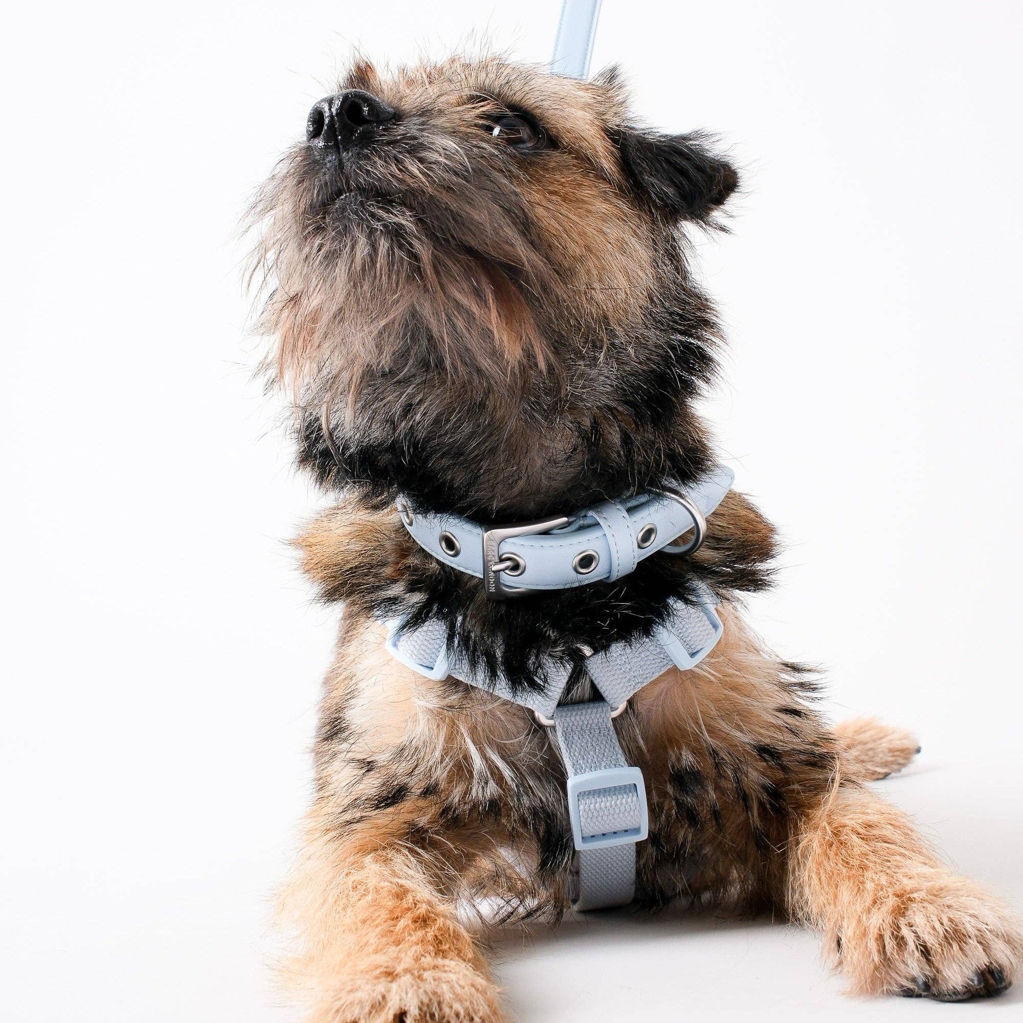 Barc London Dusk Blue luxury dog harness with silver-tone hardware from Bell & Beau