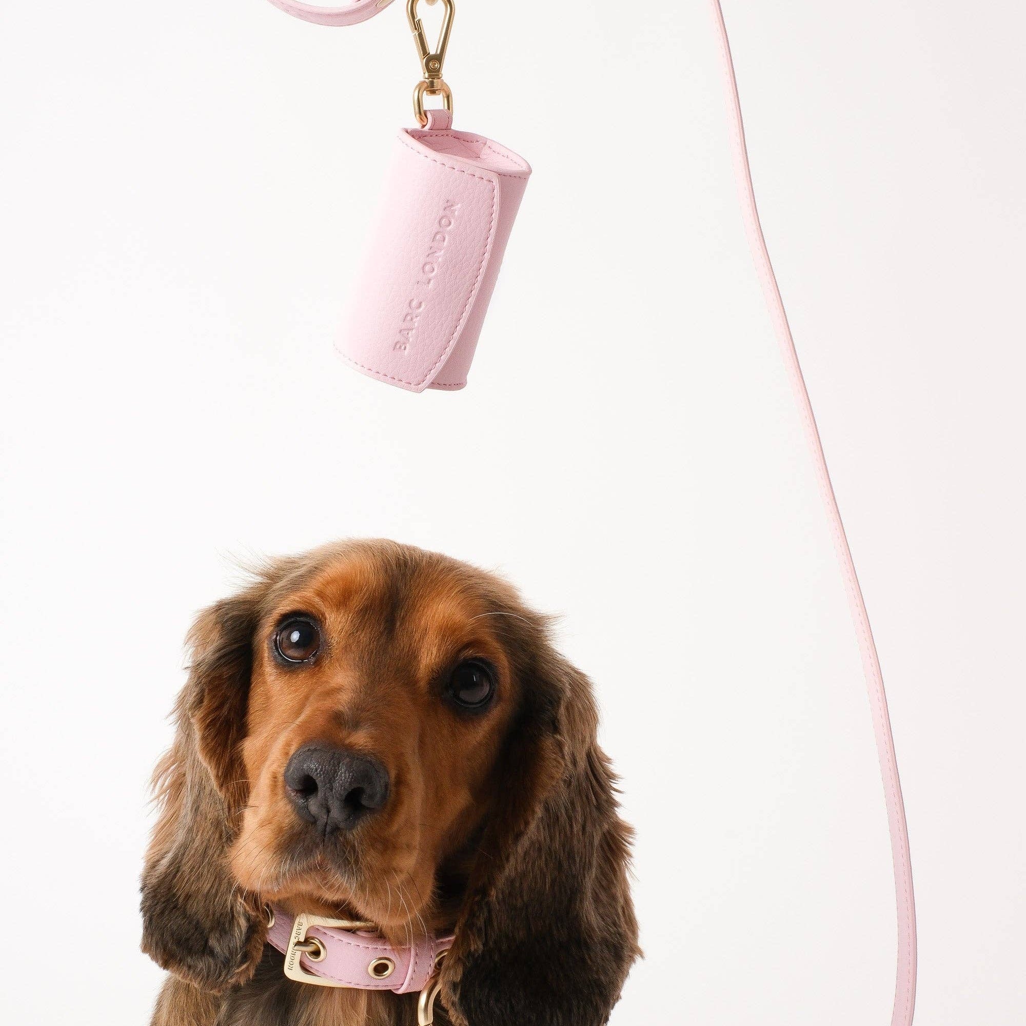 Barc London Blush Pink dog collar with matching gold-tone hardware.