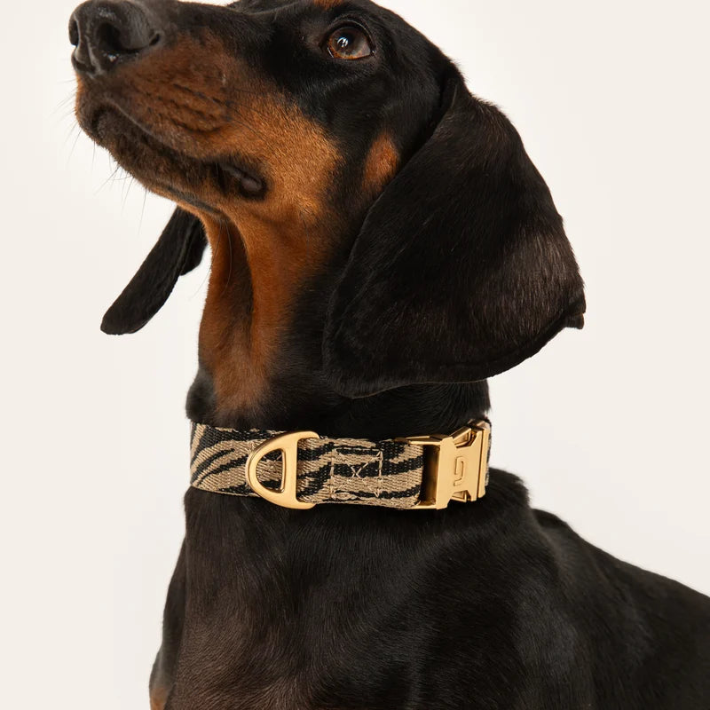 Beige and black woven zebra dog collar by DOGGUO