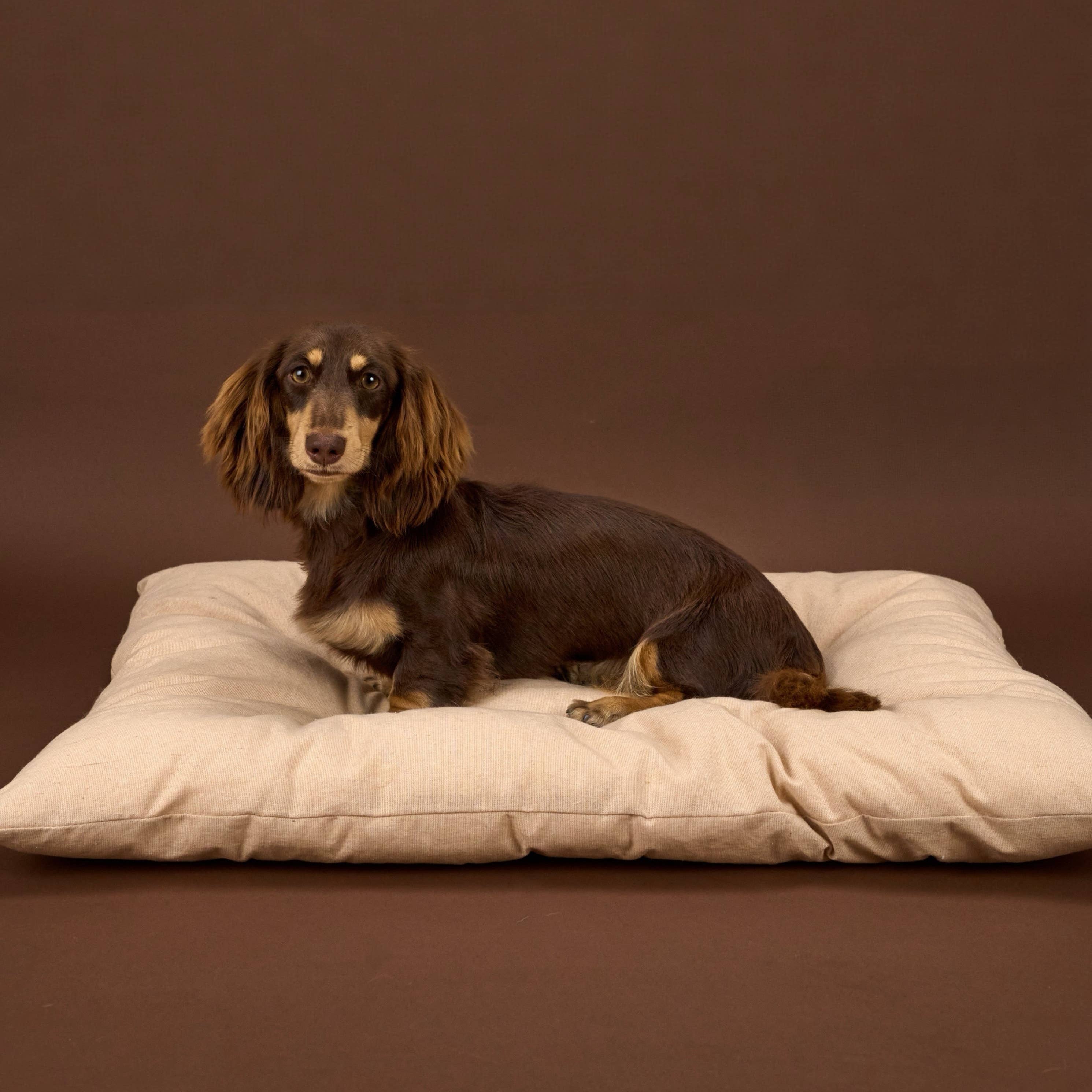 Minimal beige cotton linen dog bed with soft cushion construction.