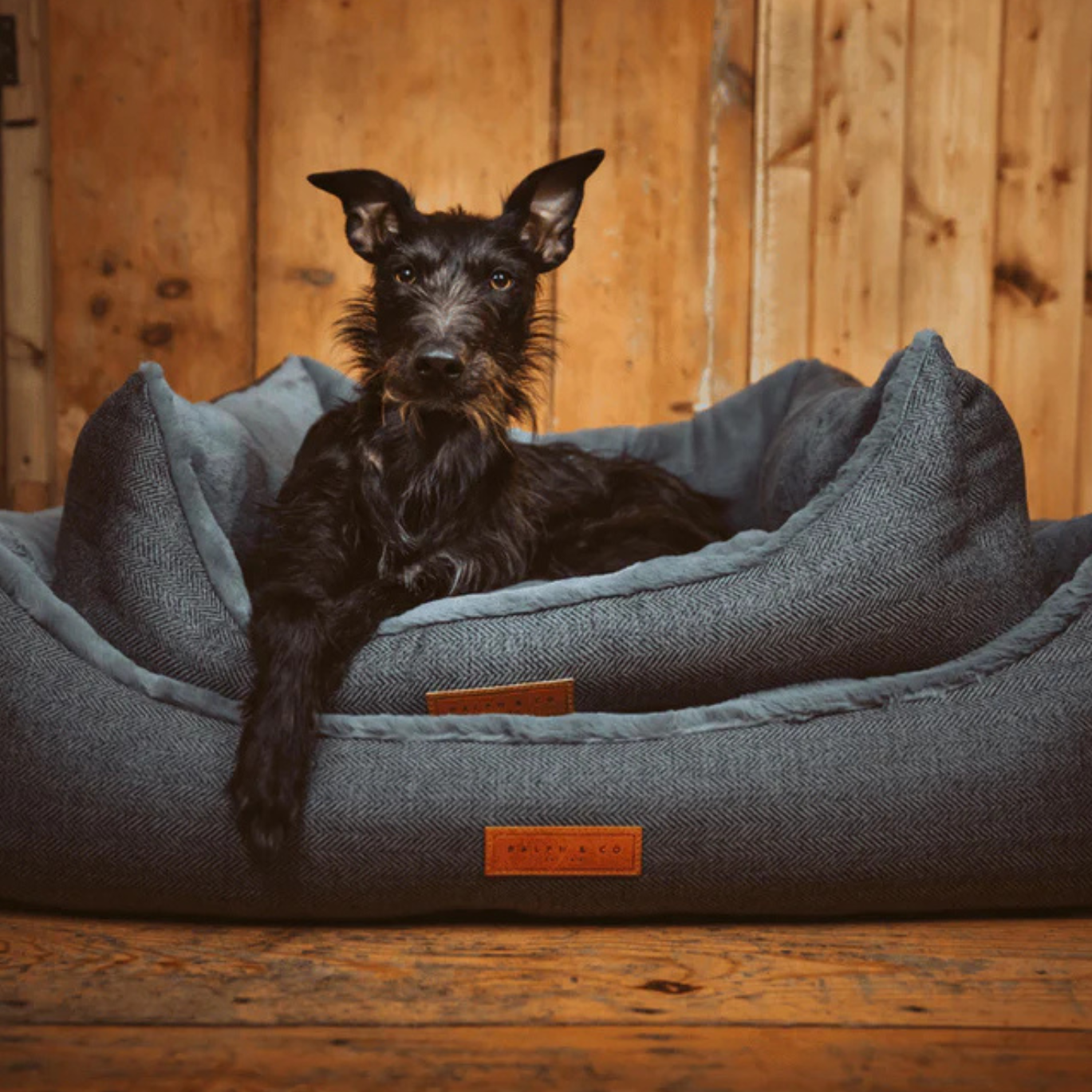 Dog lying on a gray pet bed with a wooden floor and wall in the background