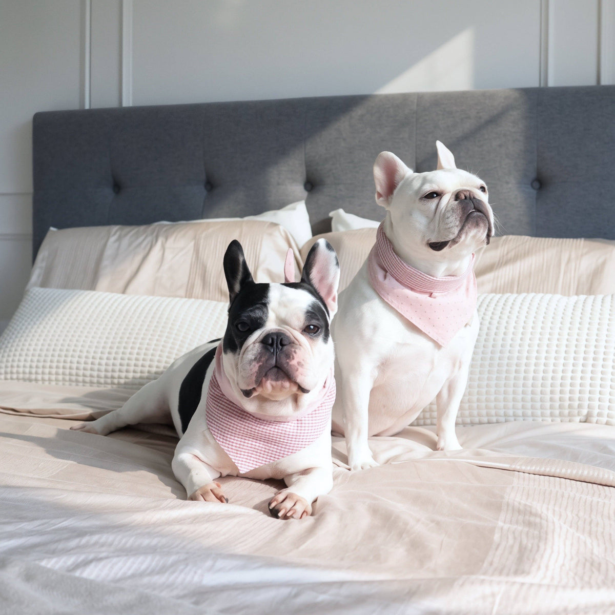 Lambwolf Collective cotton dog bandana in a soft pink gingham design