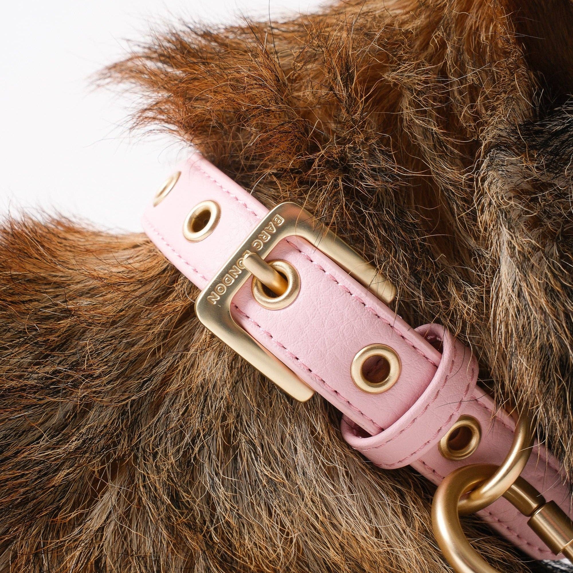 Luxury blush pink textured dog collar with gold buckle by Barc London.
