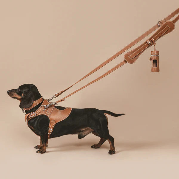 Handmade Spanish leather dog harness from Pagerie
