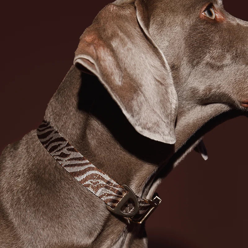 Brown and beige woven zebra dog collar by DOGGUO