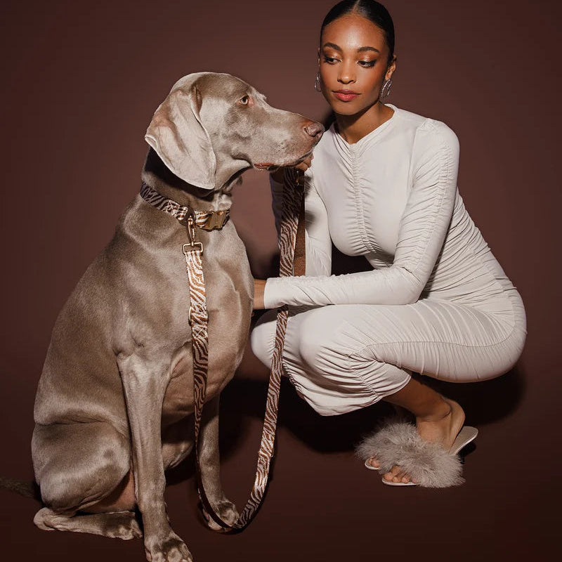 Brown and beige woven zebra dog lead by DOGGUO