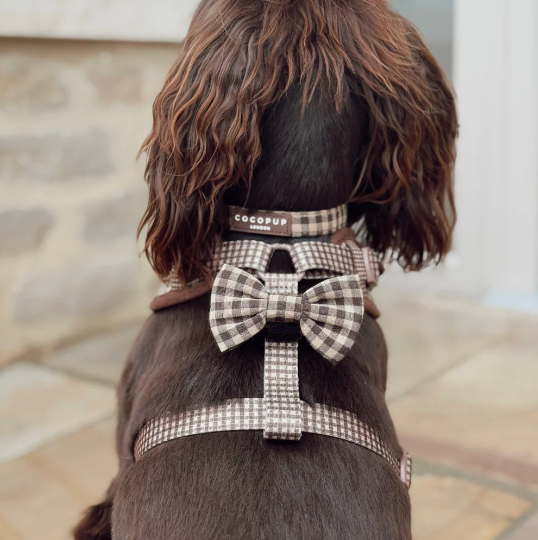 Stylish brown check padded dog collar by Cocopup London.