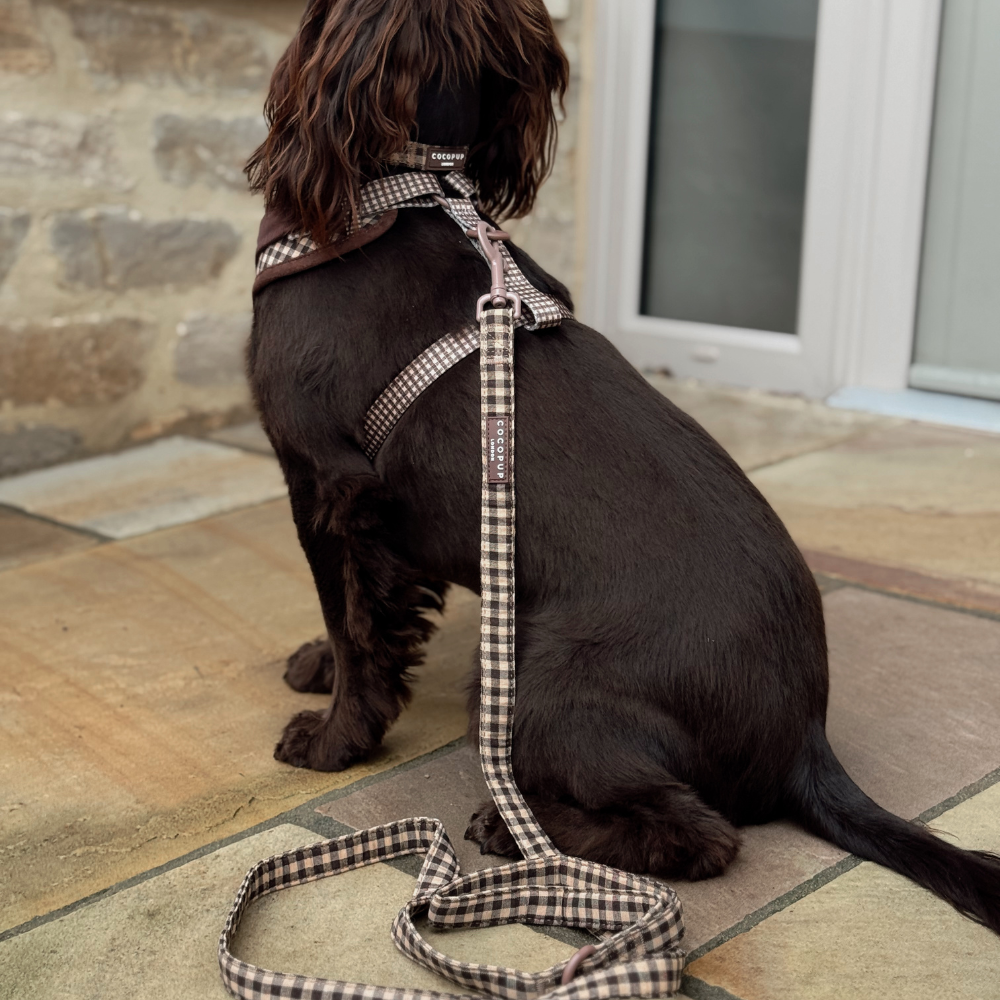 Stylish brown check designer dog lead by Cocopup London.