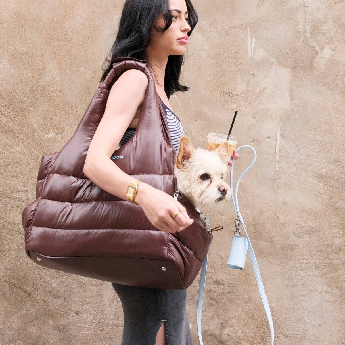 Chocolate brown quilted City Dog Carrier by Barc London