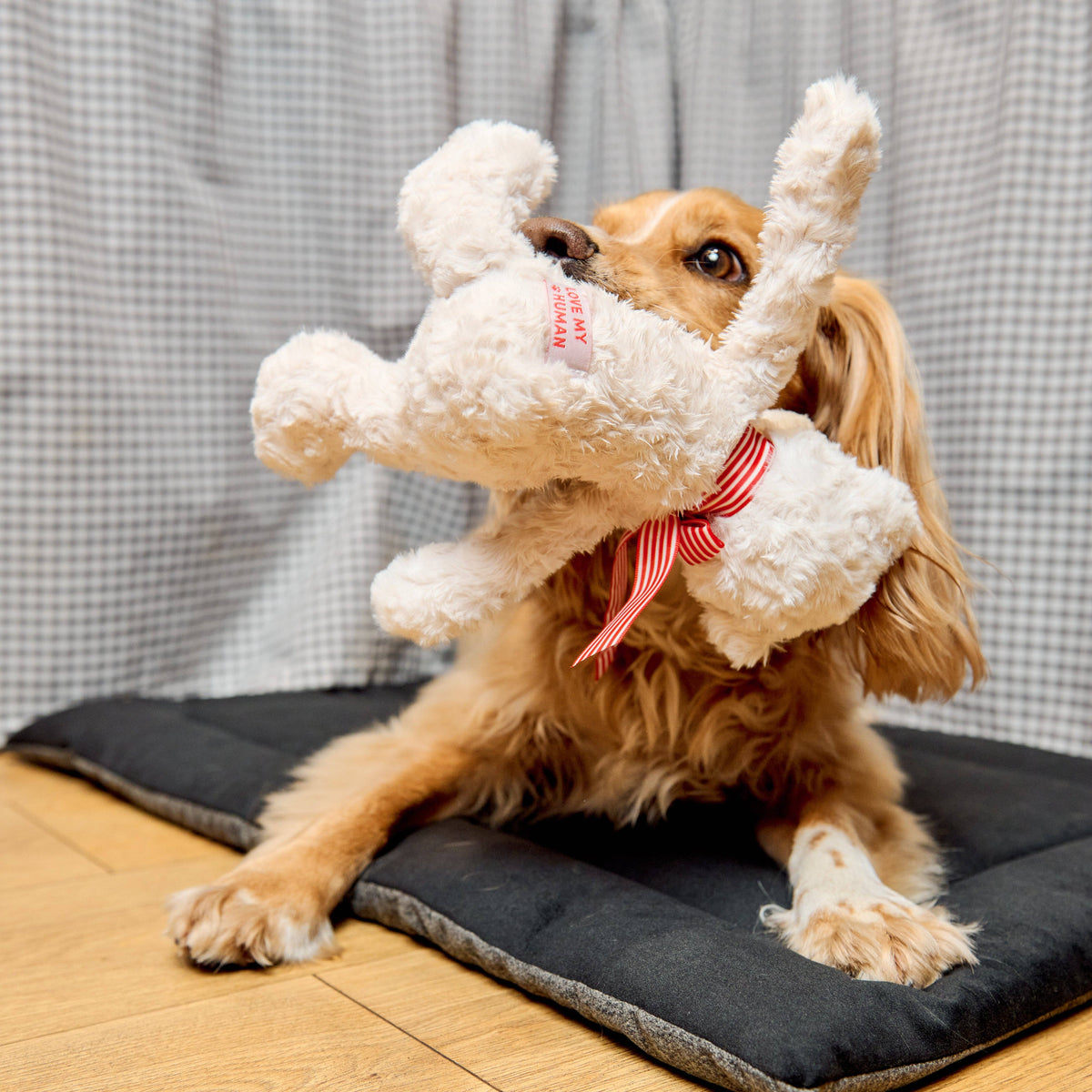 Classic brown teddy bear dog toy with soft plush finish.