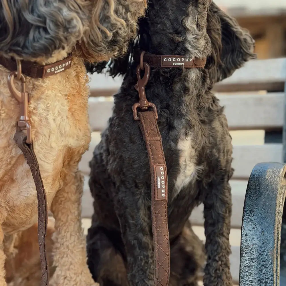 Chocolate brown quilted dog collar by Cocopup London