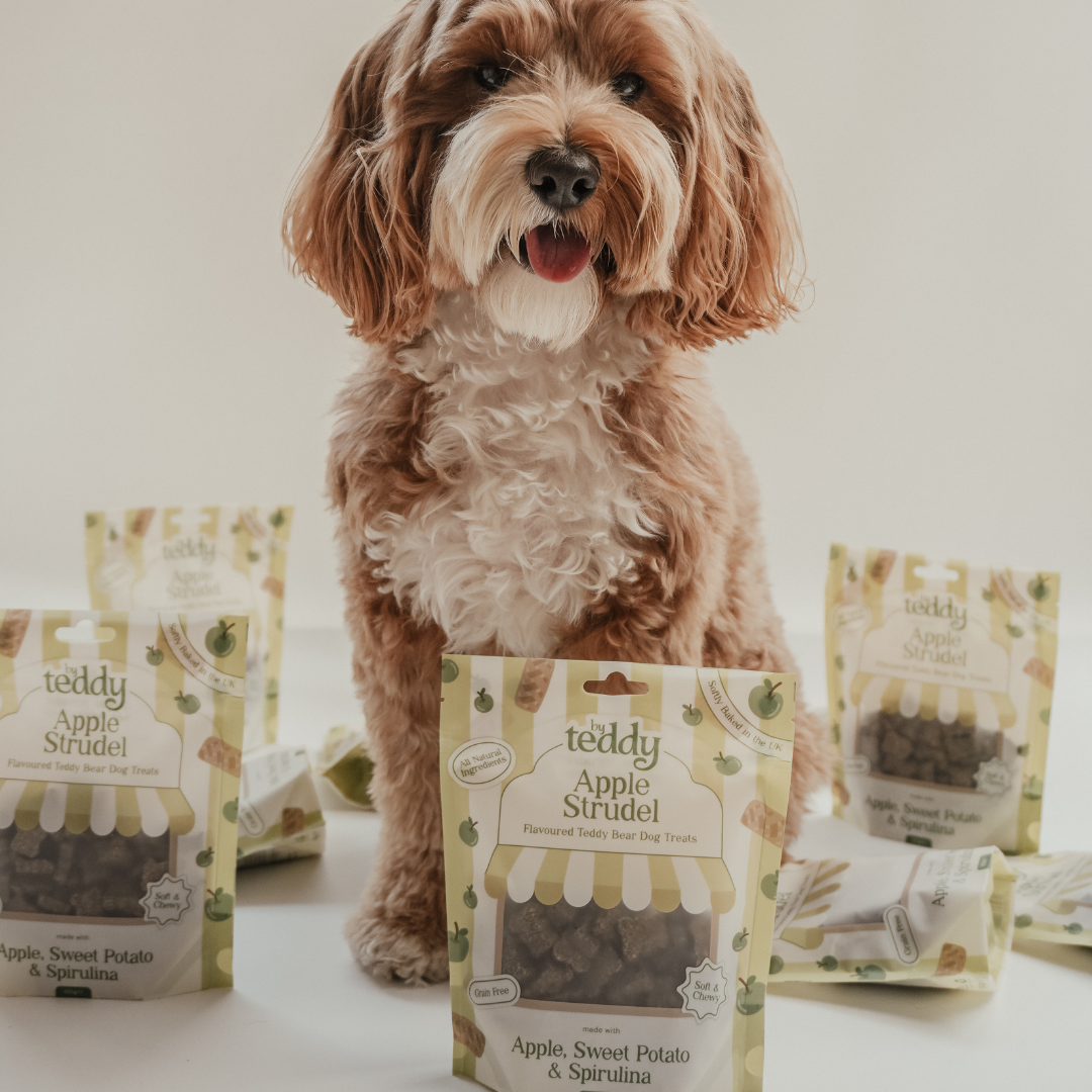 Teddy bear shaped Apple Strudel soft dog treats by By Teddy