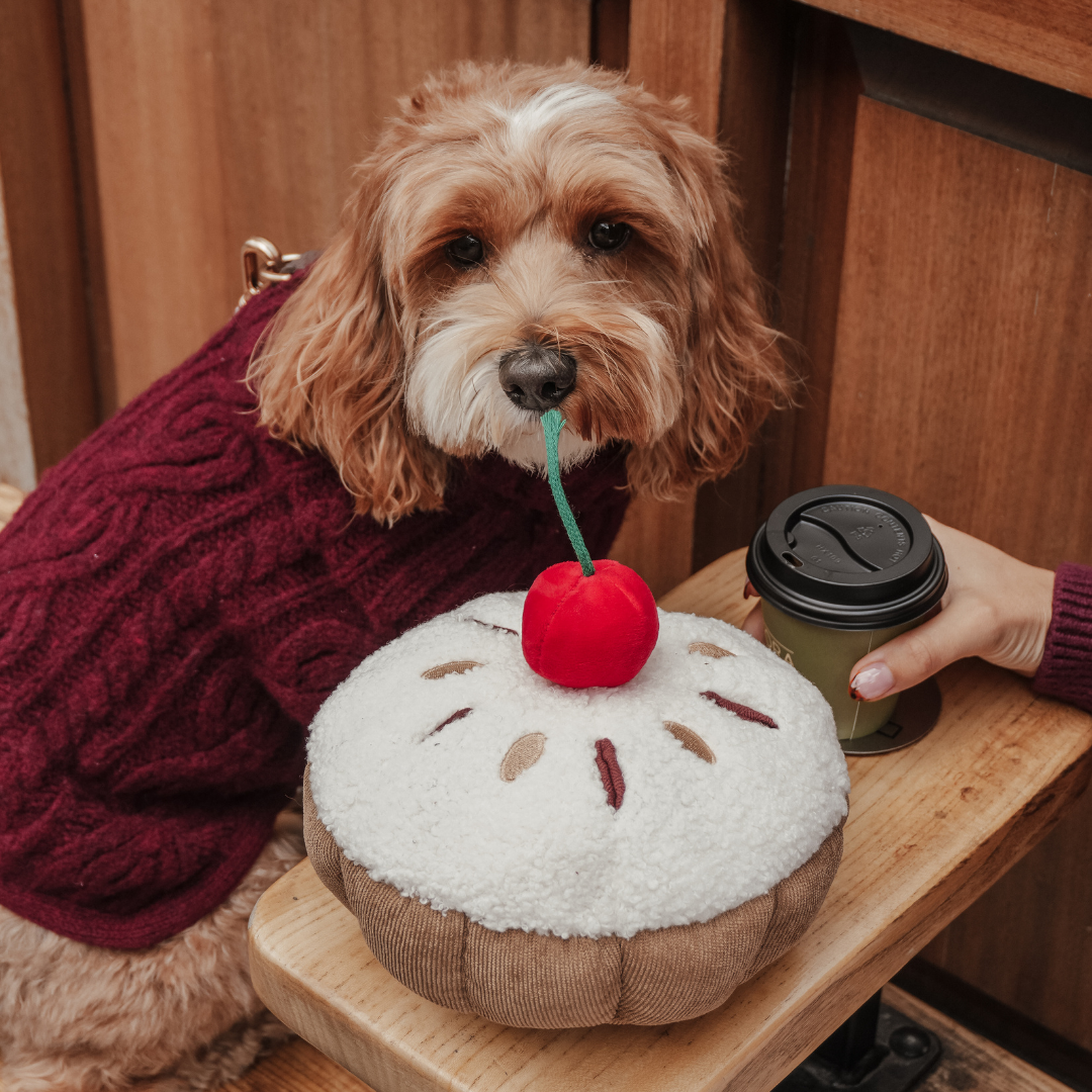 By Teddy bakery-inspired Cherry Bakewell dog toy