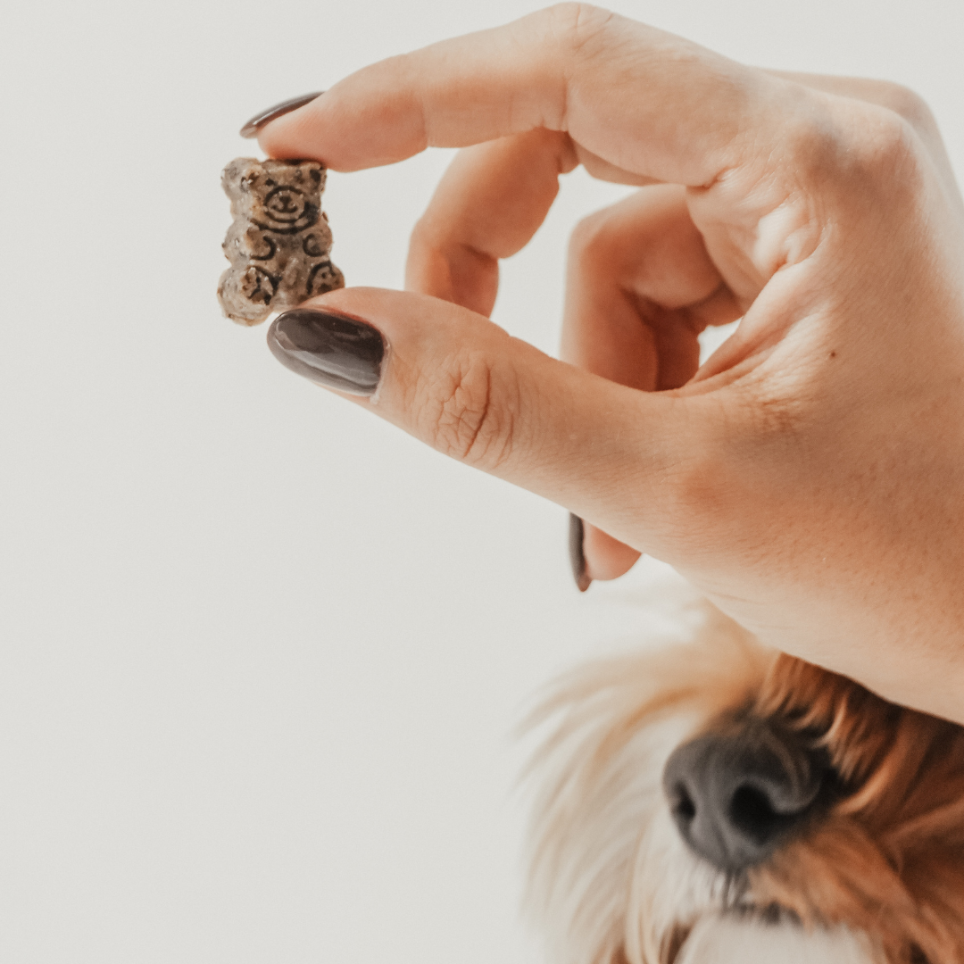By Teddy soft dog treats made with real blueberries and goat's milk