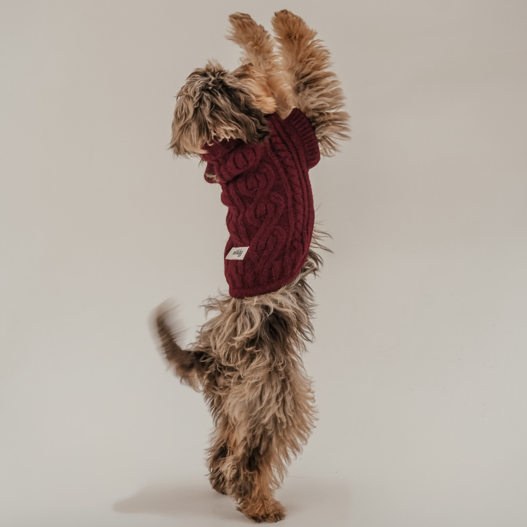 By Teddy Capsule Cable Knit Dog Jumper in rich Bordeaux