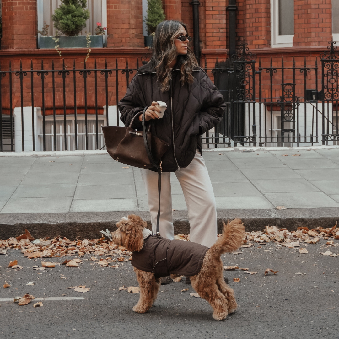 By Teddy Capsule Quilted Dog Coat in rich chocolate brown