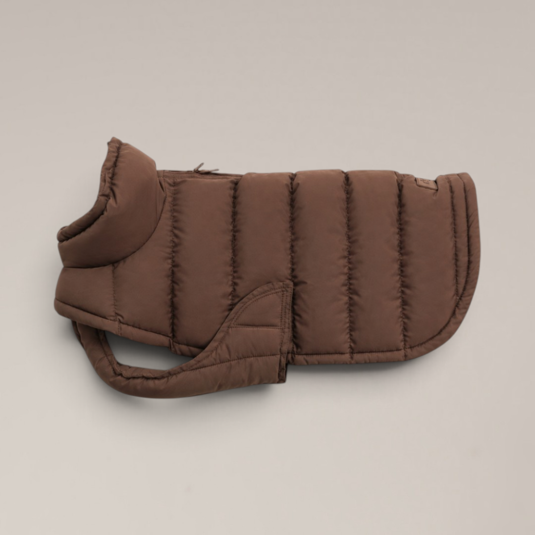 By Teddy The Capsule Puffer Dog Coat in Chocolate