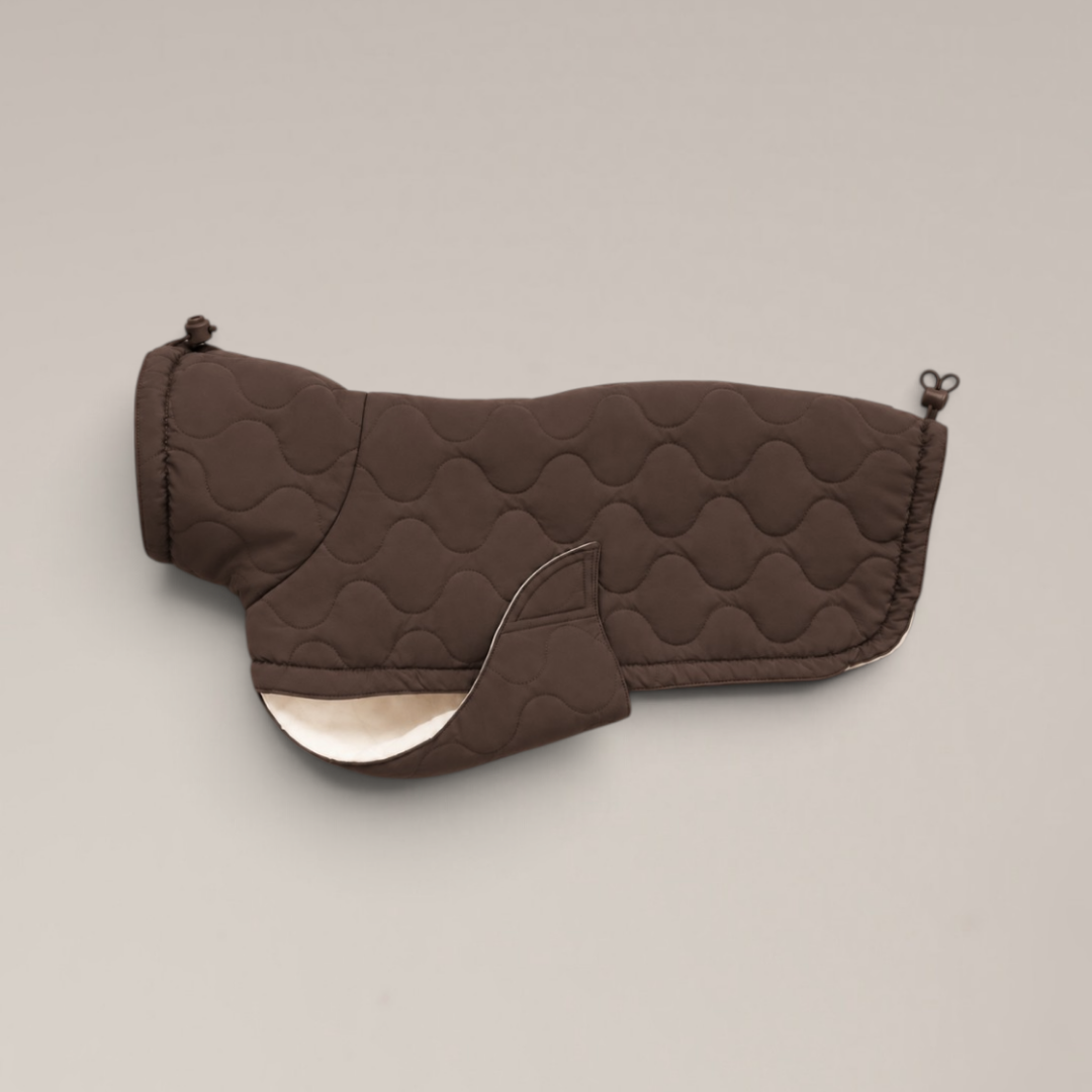 By Teddy The Capsule Quilted Dog Coat in Chocolate