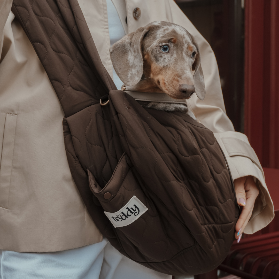 Luxury quilted fabric and matte gold detailing on the By Teddy Chocolate Quilted Sling