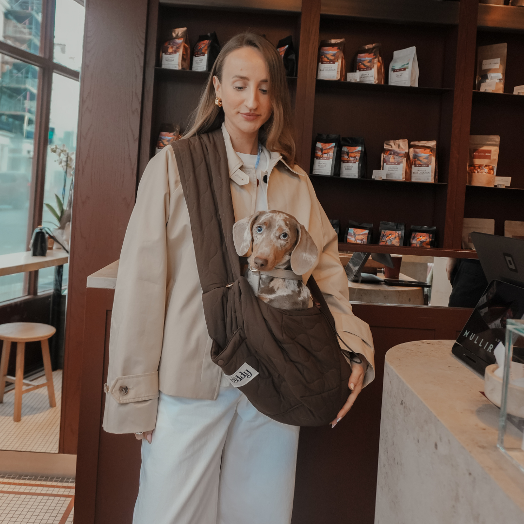 Small dog relaxing inside the By Teddy Chocolate Quilted Sling carrier