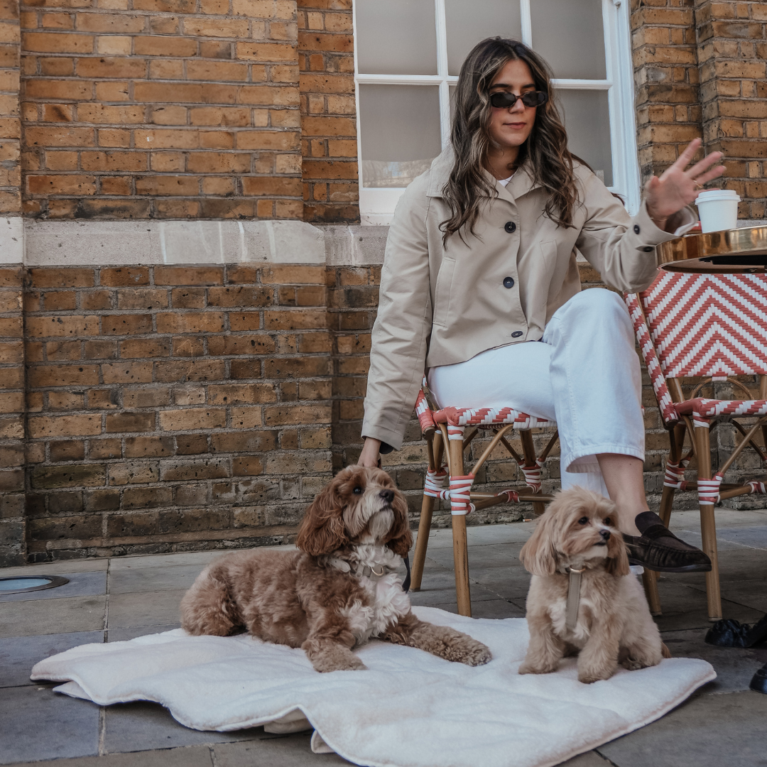 By teddy dog mat in cream 