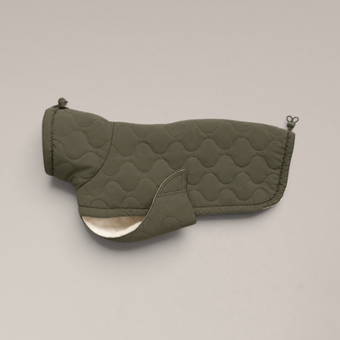 By Teddy The Capsule Quilted Dog Coat in Forest green