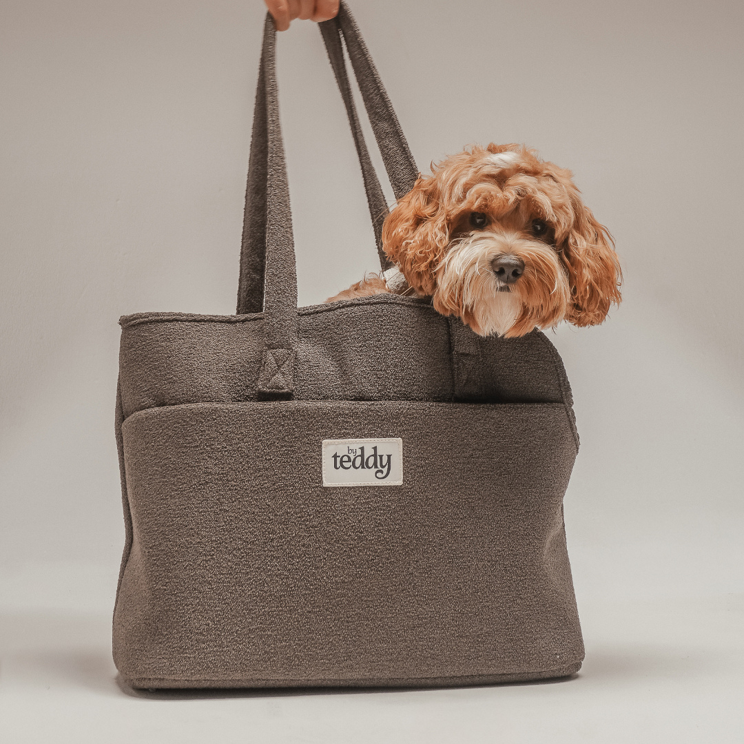 Dog peeking out from a brown tote bag with 'teddy' branding on a neutral background